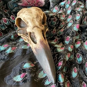 Handmade Resin Raven Skull Jewelry Holder Decor